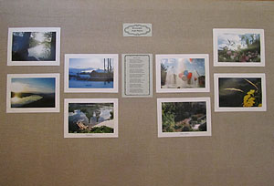 Работы Егора Мороз. Фотография.